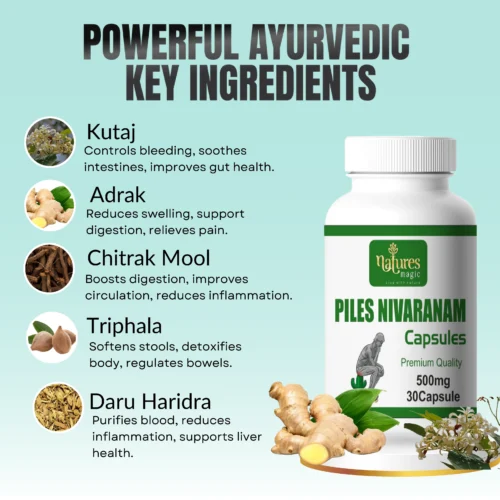 Piles Nivaranam Ayurvedic Capsules